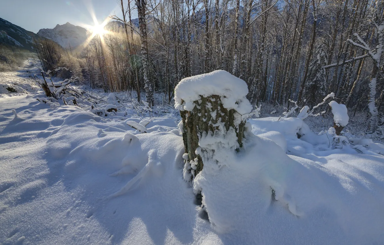 Photo wallpaper winter, the sky, the sun, snow, trees, mountains, stump, day