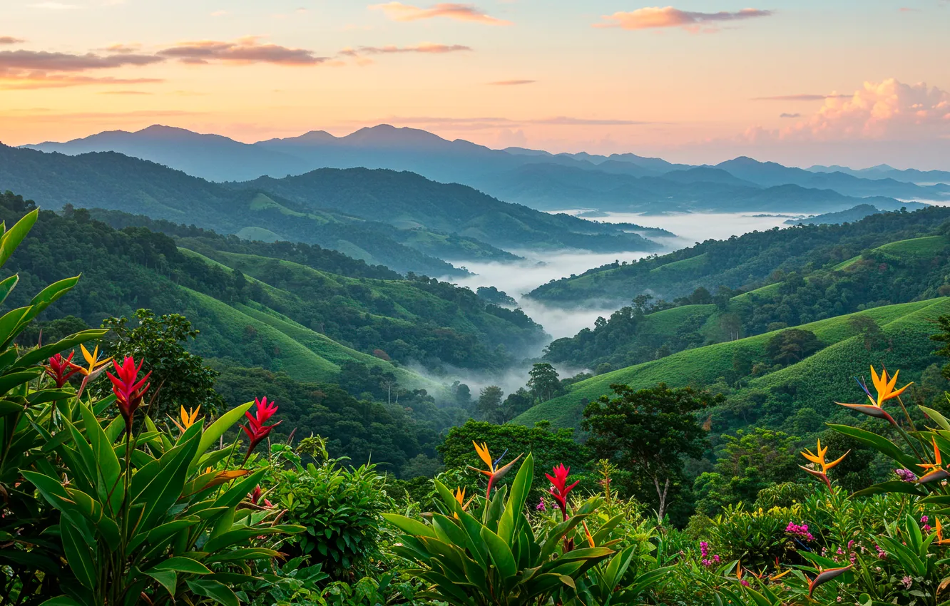 Photo wallpaper the sky, mountains, fog, Wallpaper, valley, art, wallpaper, sky