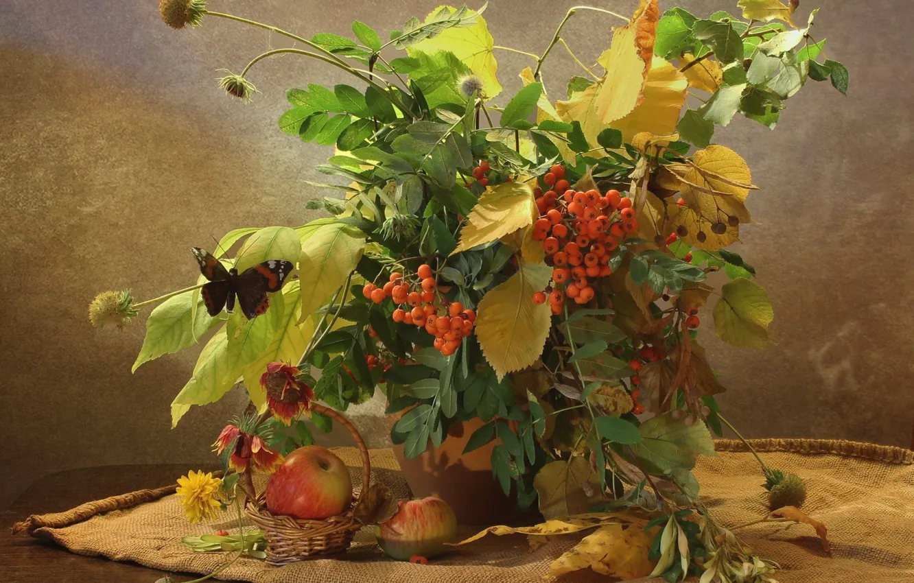 Photo wallpaper autumn, berries, still life