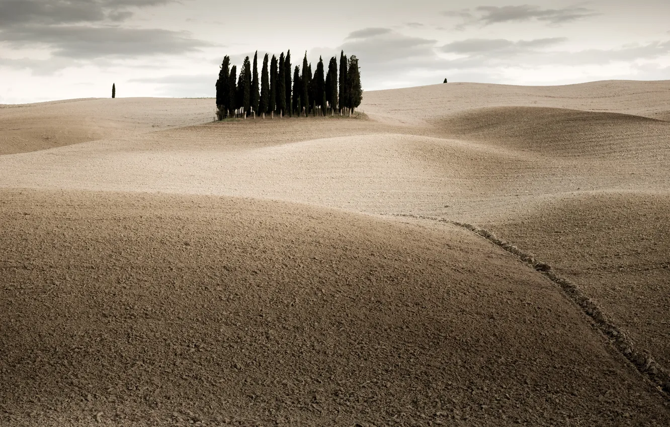 Photo wallpaper field, landscape, nature