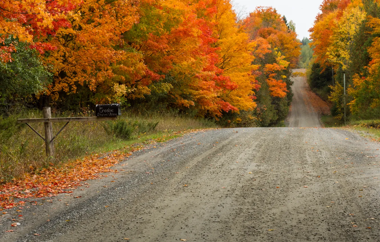 Photo wallpaper road, autumn, leaves, trees, landscape, nature