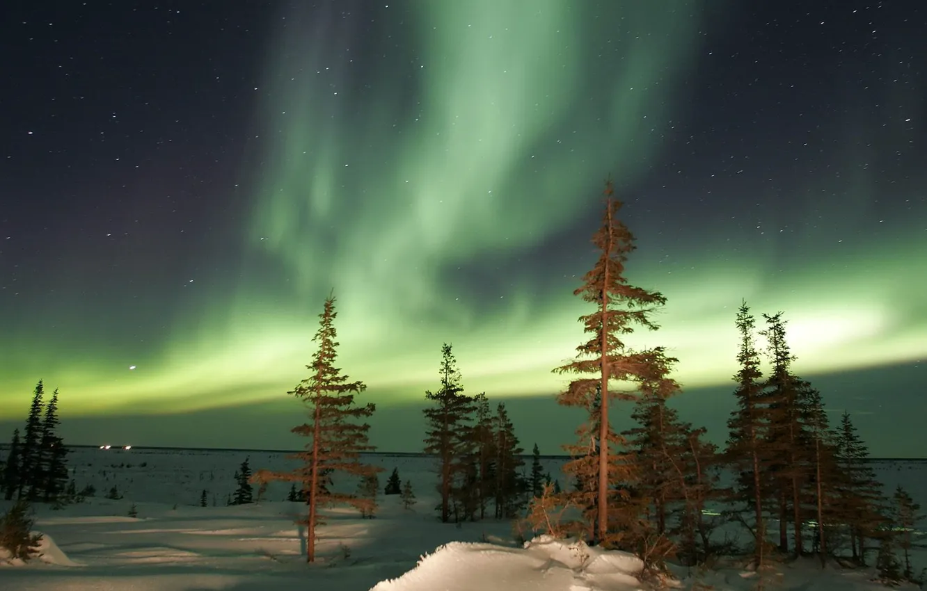 Photo wallpaper winter, trees, night, Aurora, Northern lights