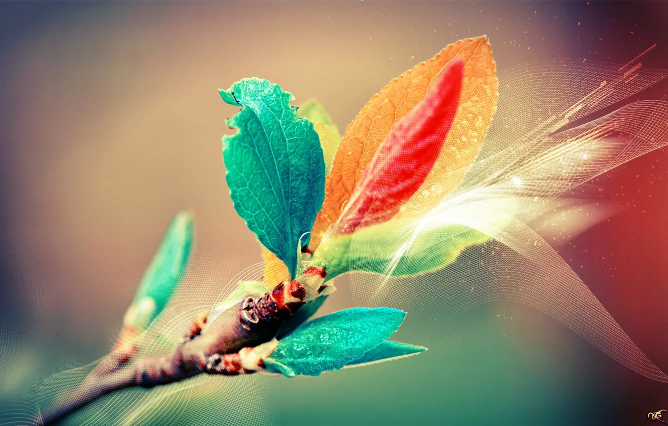 Photo wallpaper leaves, branches, color, kidney