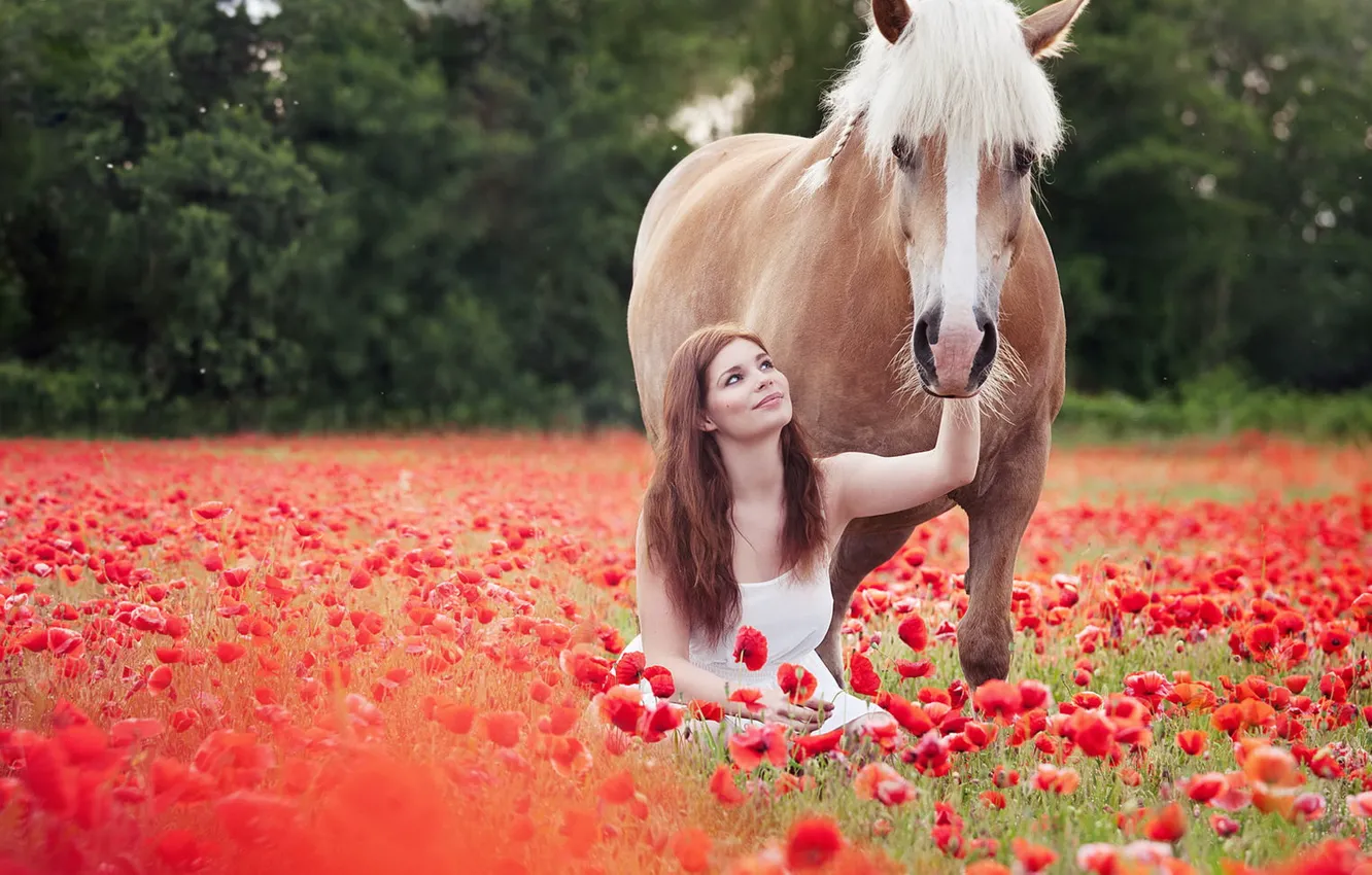 Photo wallpaper girl, horse, Maki