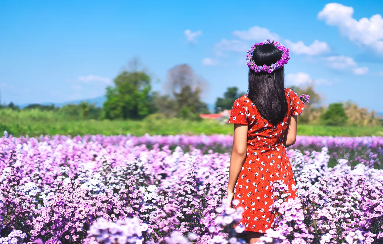 Photo wallpaper field, summer, girl, flowers, brunette, wreath, is back
