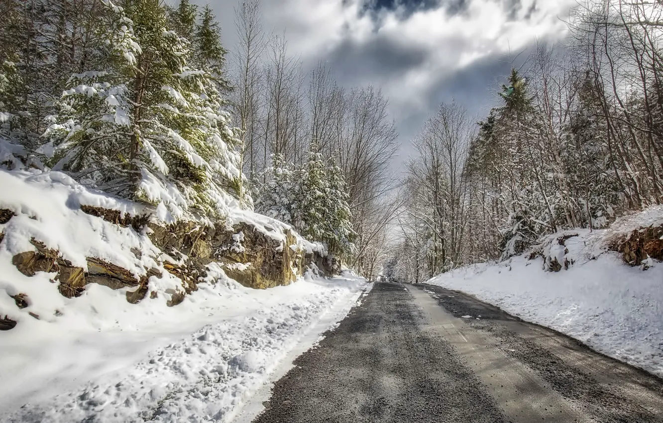 Photo wallpaper winter, road, forest