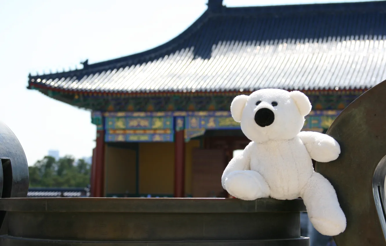 Photo wallpaper background, stay, Wallpaper, mood, toy, White, bear, China