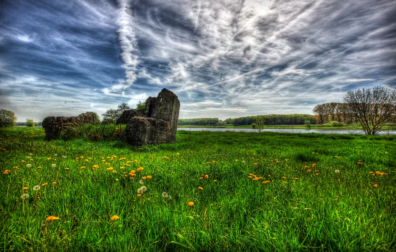Photo wallpaper road, the sky, grass, clouds, flowers, stones, dandelion, meadow