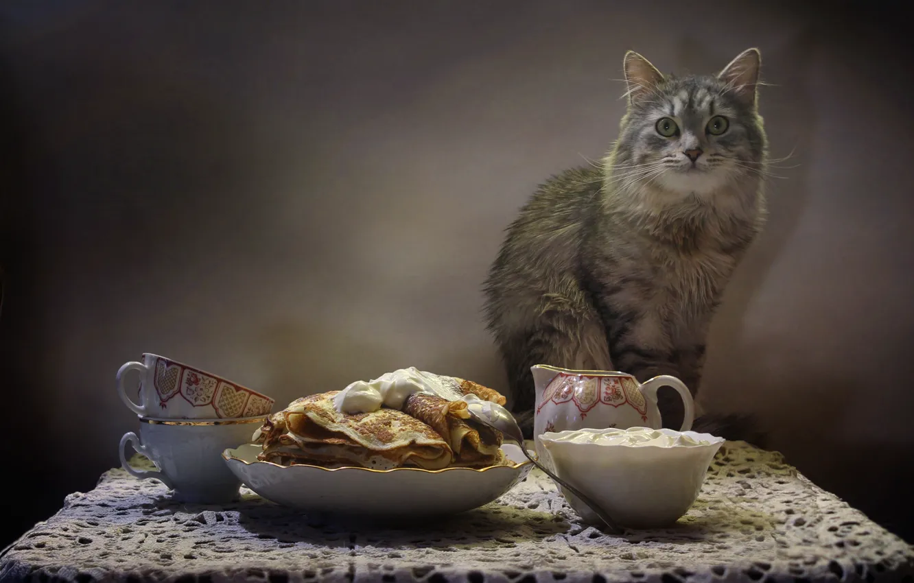 Photo wallpaper cat, table, animal, kettle, Cup, still life, pancakes, napkin