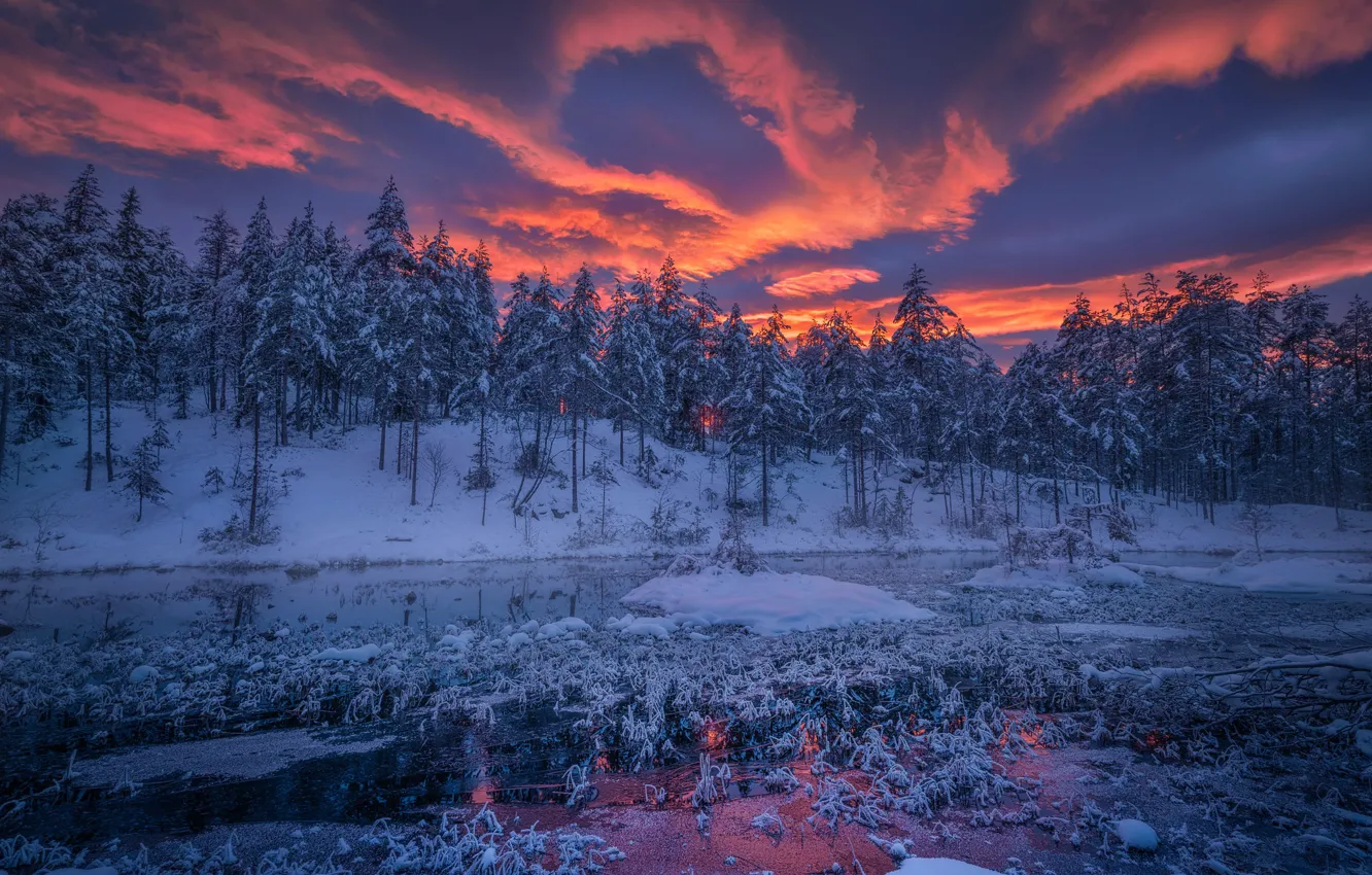 Photo wallpaper cold, winter, forest, snow, night, river, ice, Norway