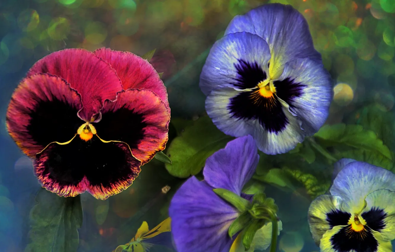 Photo wallpaper flowers, background, art, anythiny eyes