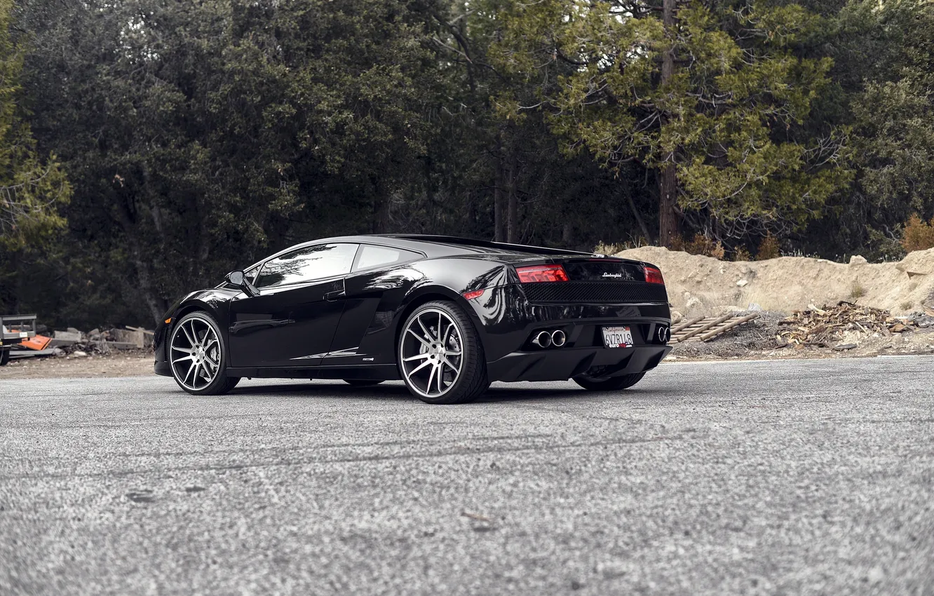 Photo wallpaper sand, trees, black, Lamborghini, Gallardo, black, rear view, Lamborghini