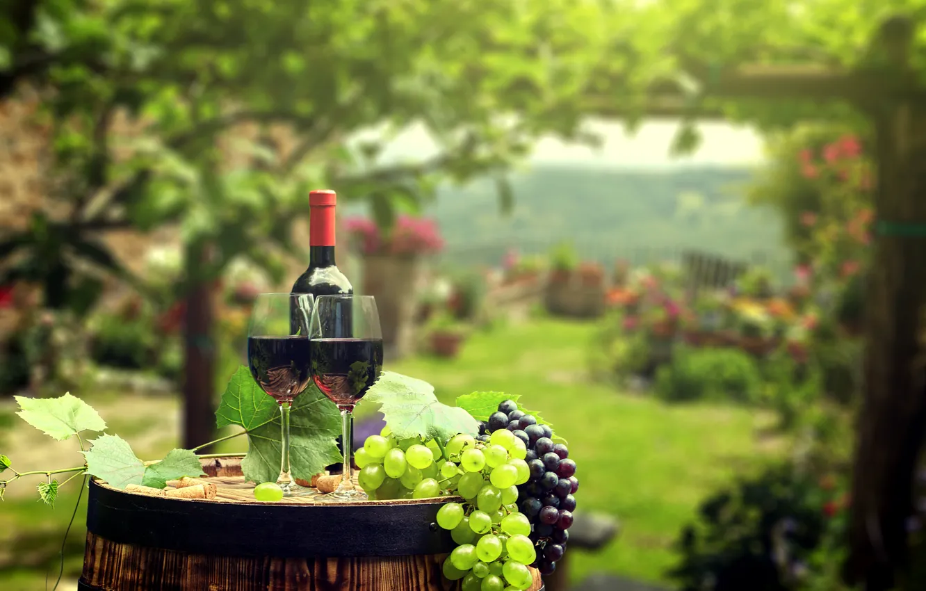 Photo wallpaper greens, leaves, background, wine, bottle, garden, glasses, grapes