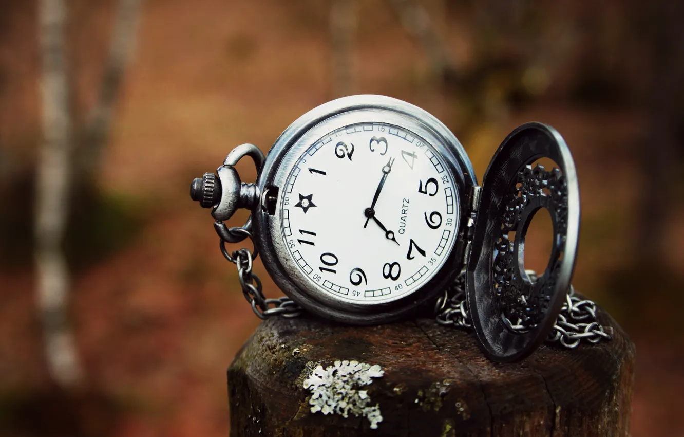 Photo wallpaper trees, arrows, watch, focus, blur, dial, suspension