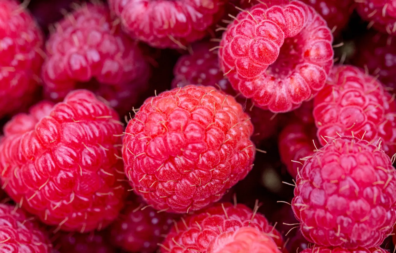 Photo wallpaper macro, berries, raspberry, red, a lot, ripe