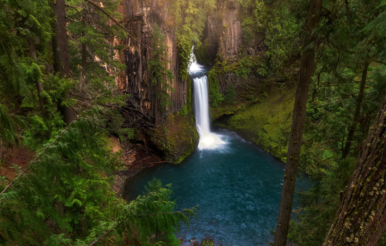 Photo wallpaper forest, trees, rocks, waterfall, USA, the view from the top, Toketee Falls, Southern Oregon