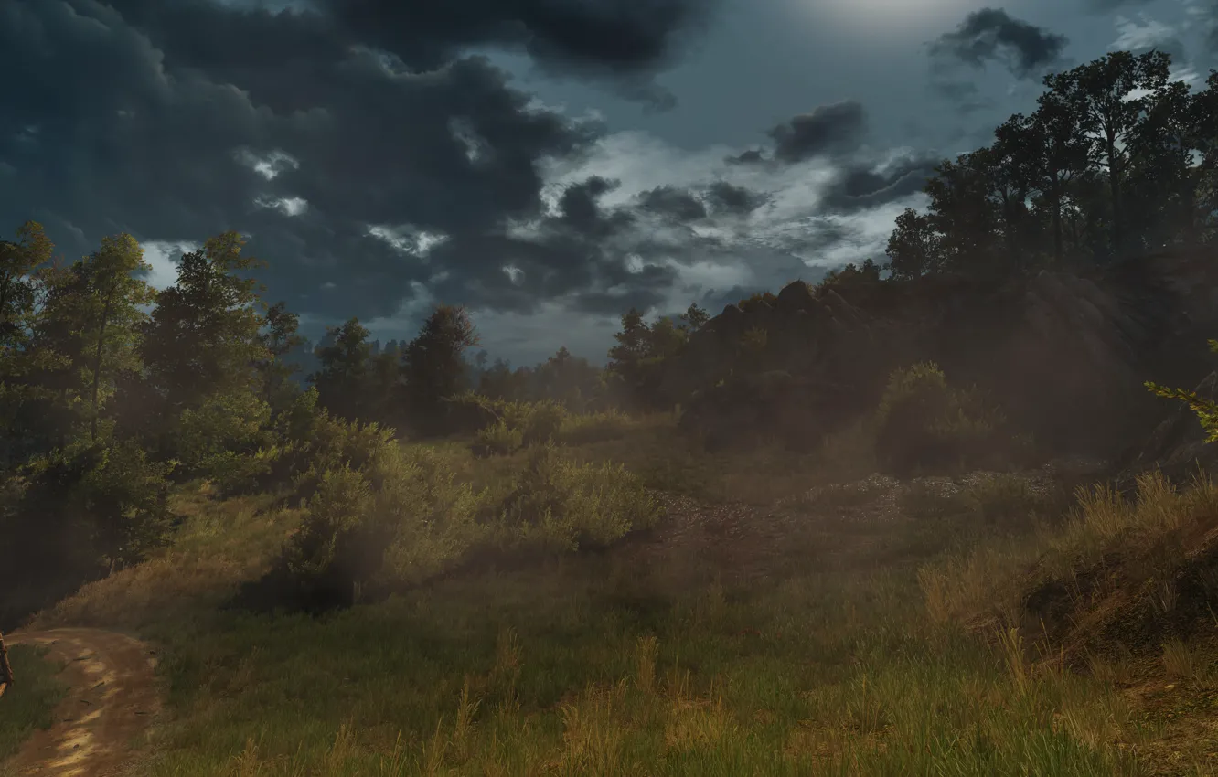 Photo wallpaper Field, Grass, The Witcher, The Witcher, The Witcher 3 Wild Hunt, The Witcher 3 Wild …