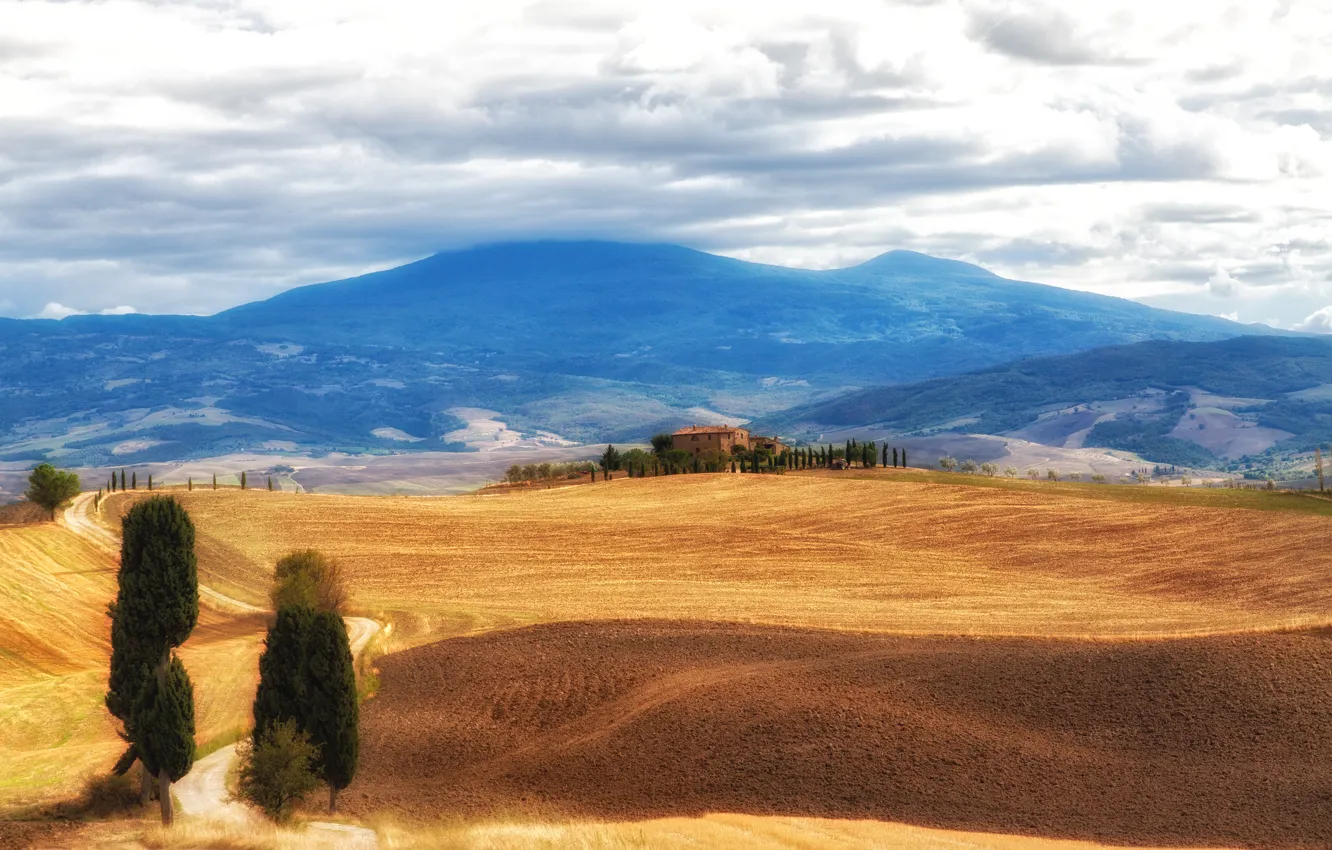 Photo wallpaper the sky, clouds, hills, field, Italy, forest, Tuscany, marvelous landscape