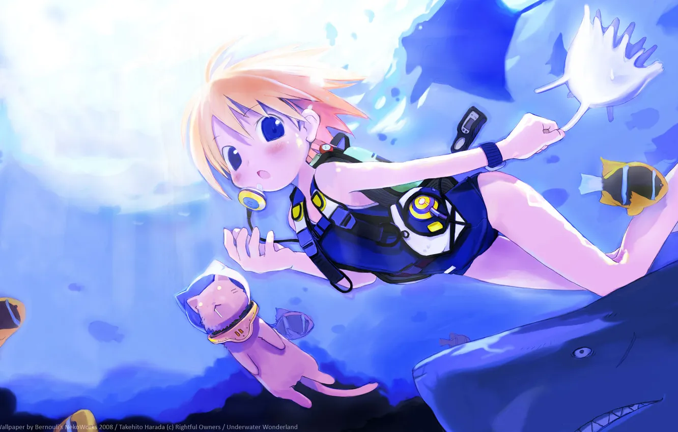 Photo wallpaper cat, look, girl, fish, scuba