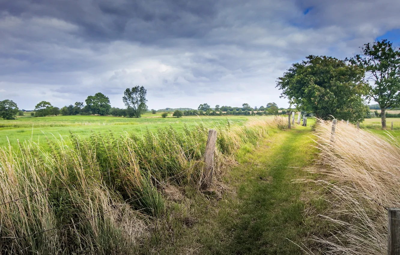 Photo wallpaper road, summer, the sky, grass, clouds, trees, posts, the fence
