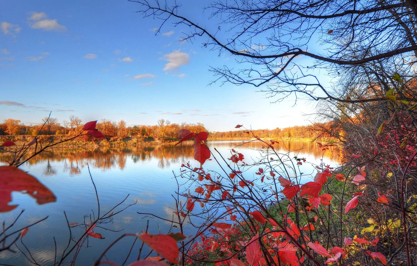 Photo wallpaper autumn, the sky, leaves, trees, river