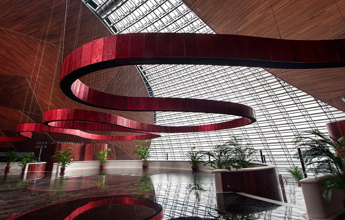 Photo wallpaper flowers, design, plant, rope, window, the ceiling, pot, the room