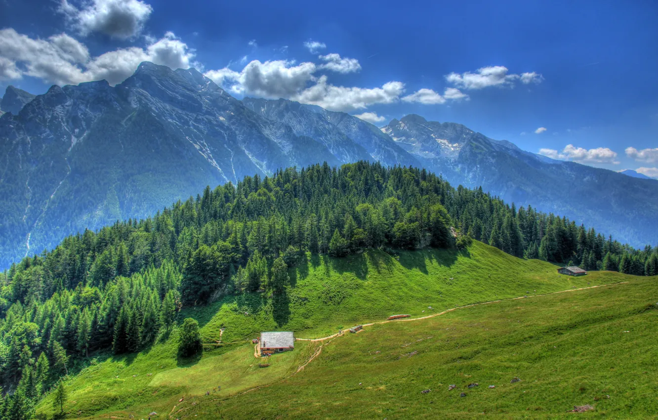 Photo wallpaper greens, forest, the sky, the sun, clouds, trees, mountains, HDR