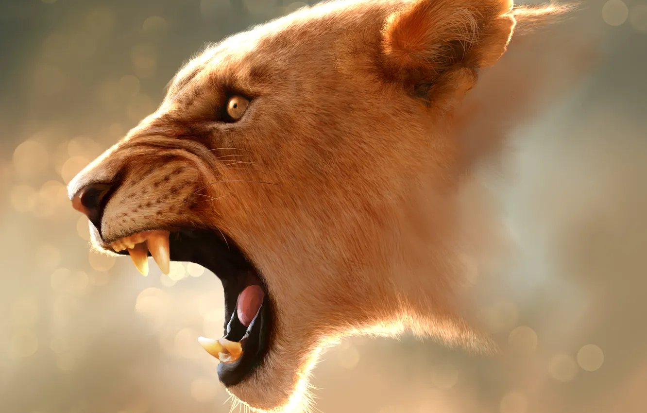 Photo wallpaper figure, teeth, head, mouth, Savannah, ears, lioness, roar