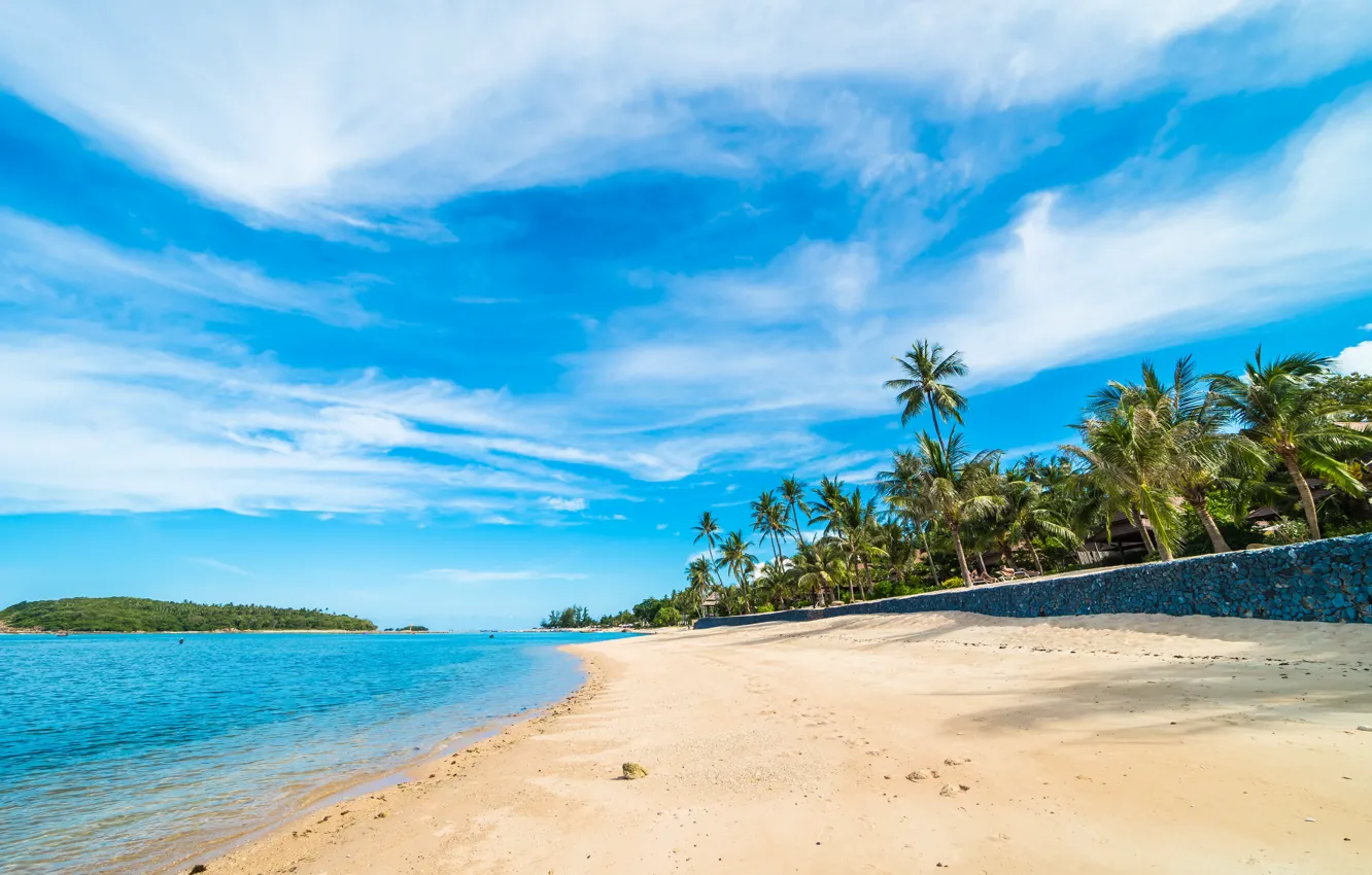 Photo wallpaper sand, sea, beach, summer, the sky, the sun, palm trees, shore