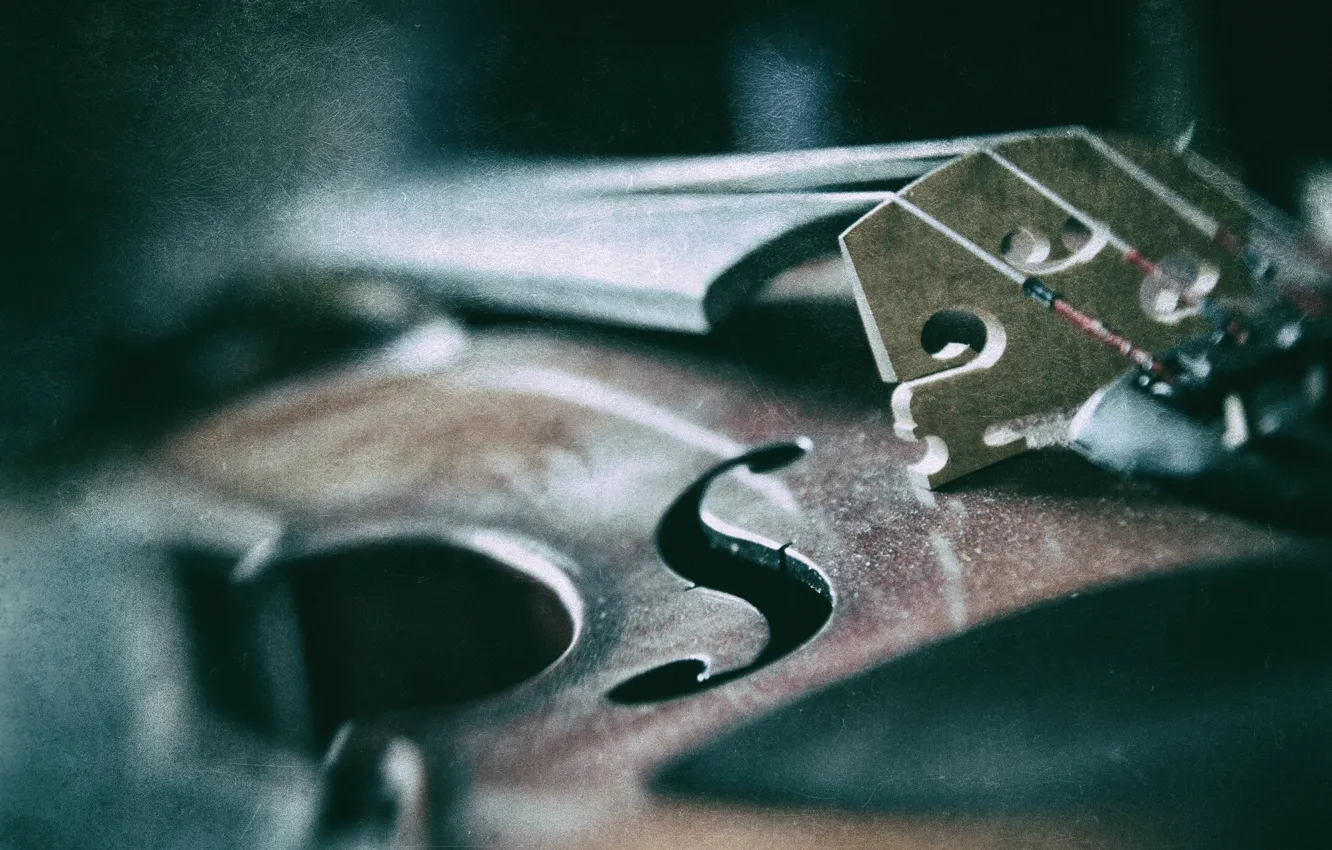 Photo wallpaper violin, strings, vintage