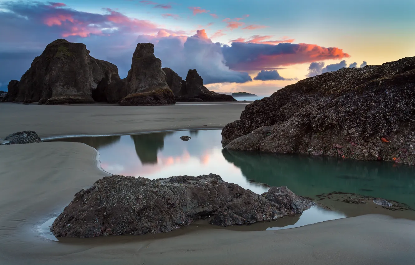 Photo wallpaper beach, the ocean, rocks, USA, Oregon, The beach at Bandon