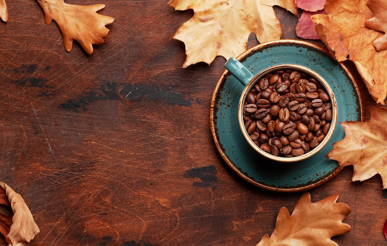 Photo wallpaper autumn, leaves, grain, wood, autumn, leaves, cup, beans