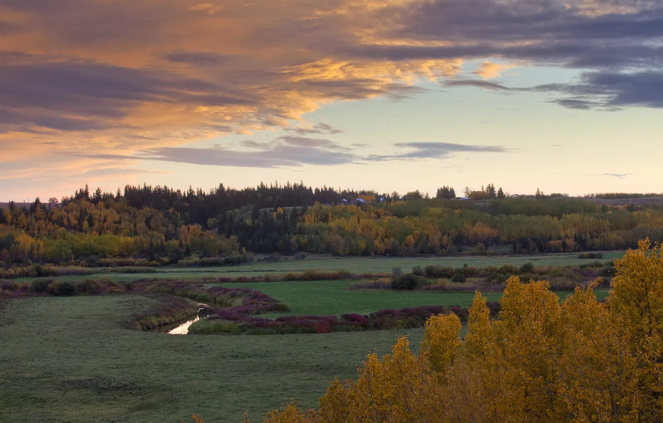 Photo wallpaper field, the sky, grass, clouds, trees, stream, home, twilight