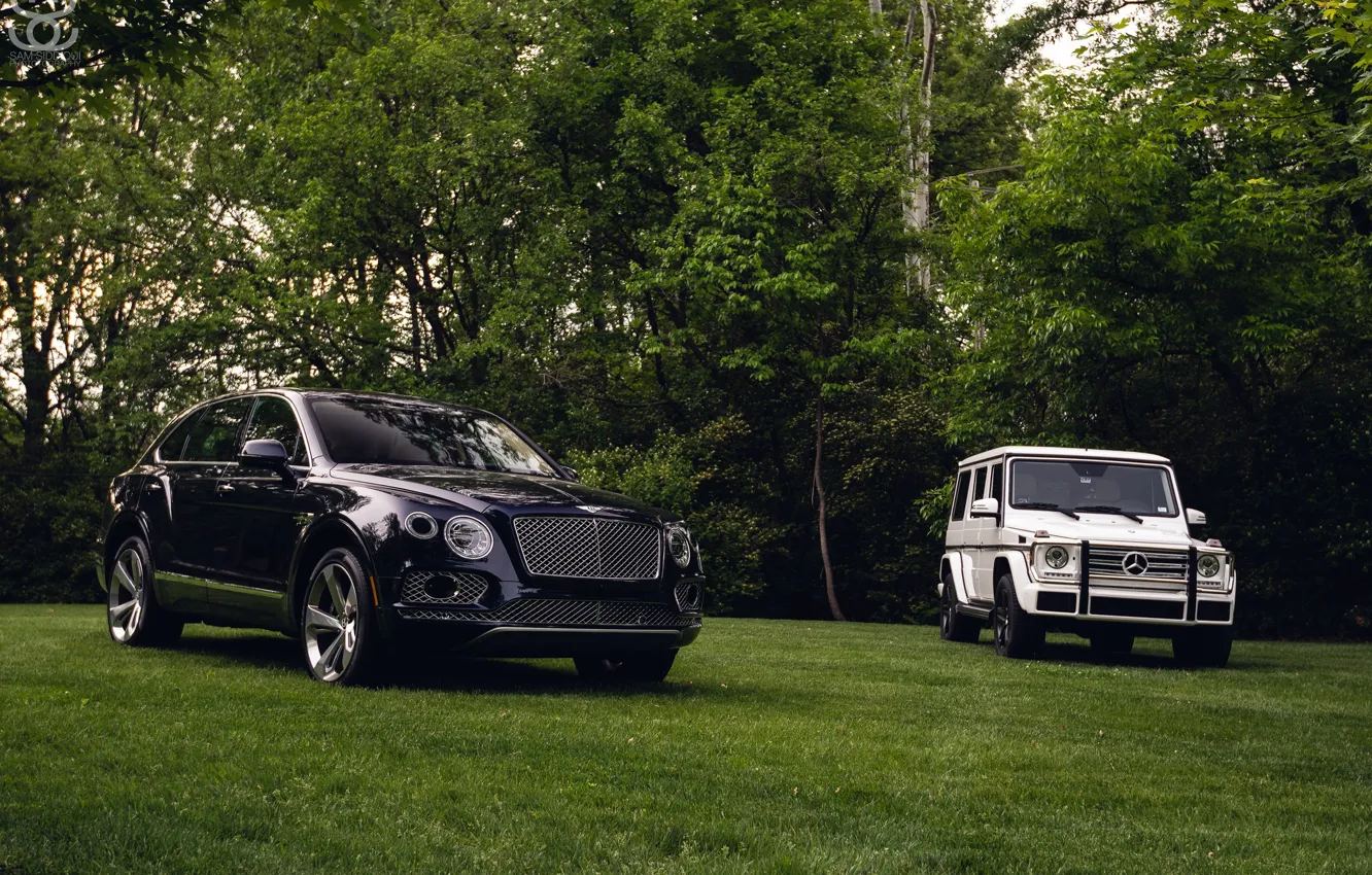 Photo wallpaper Bentley, Mercedes, Black, White, G500, W463, VAG, Bentayga