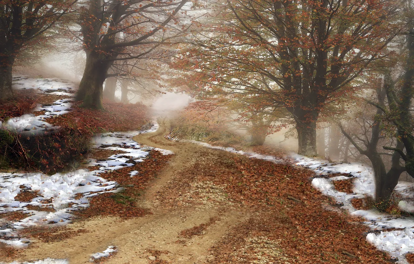 Photo wallpaper winter, road, nature