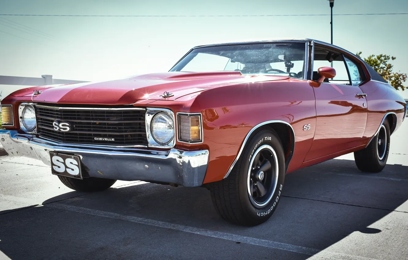 Photo wallpaper Camaro, muscle car, camaro ss, Chevrolet Camaro SS, Edwin Hooper