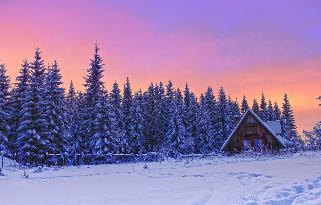 Photo wallpaper winter, forest, the sky, tree, house