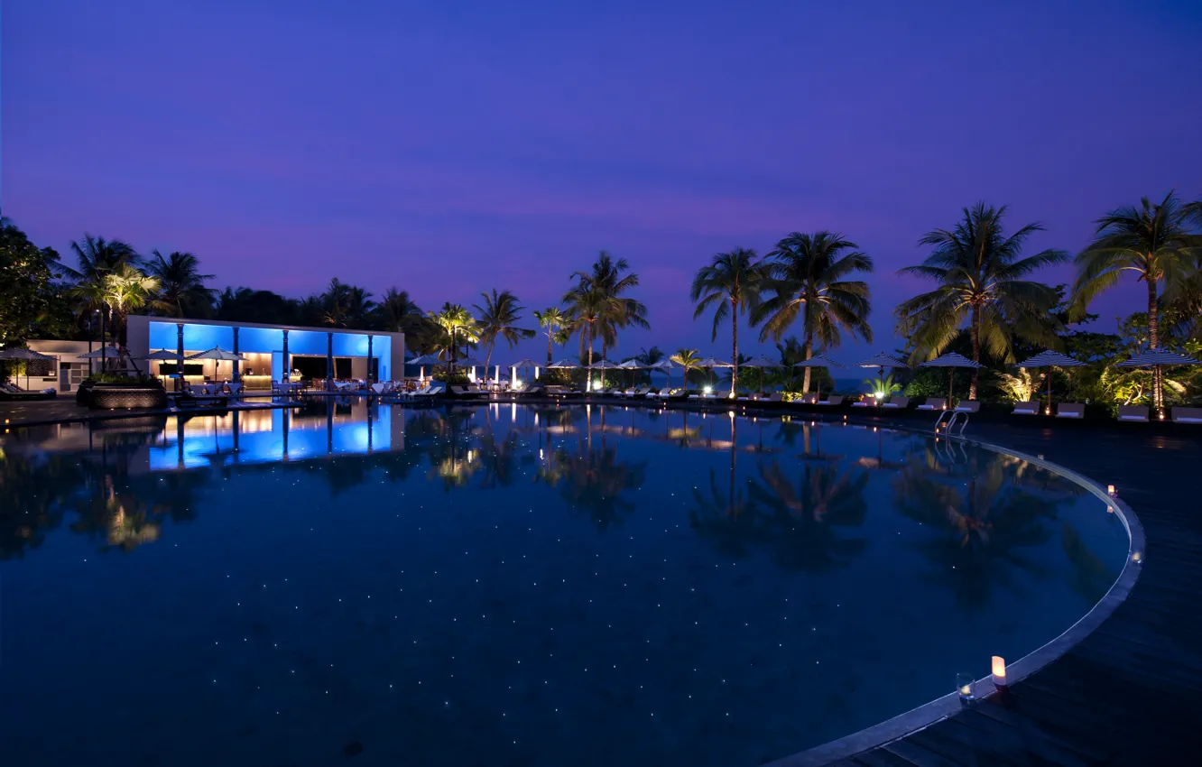 Photo wallpaper night, palm trees, pool, Phuket, Thailand, resort, resort