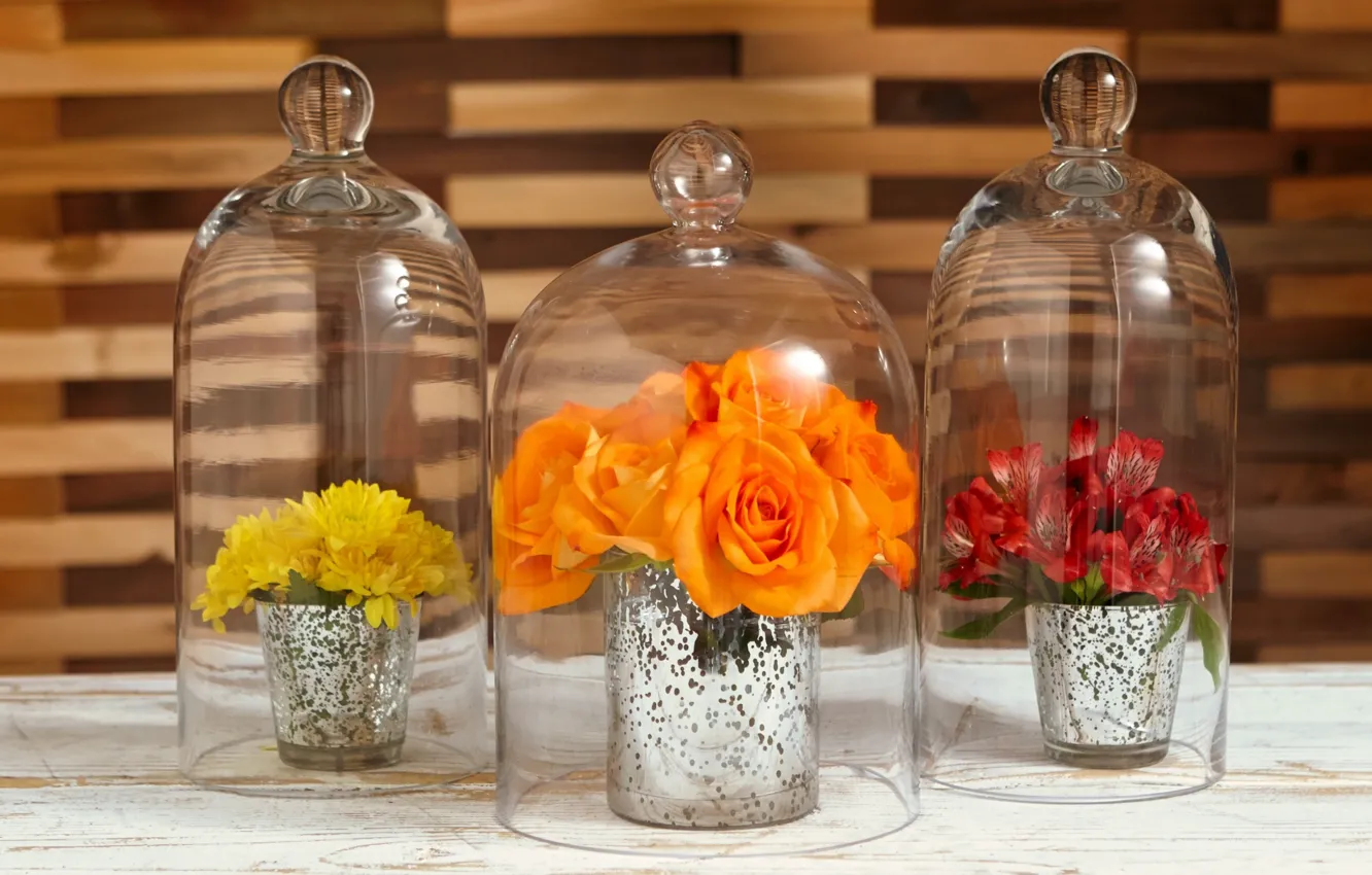 Photo wallpaper flowers, roses, vase, wood, flowers, decor