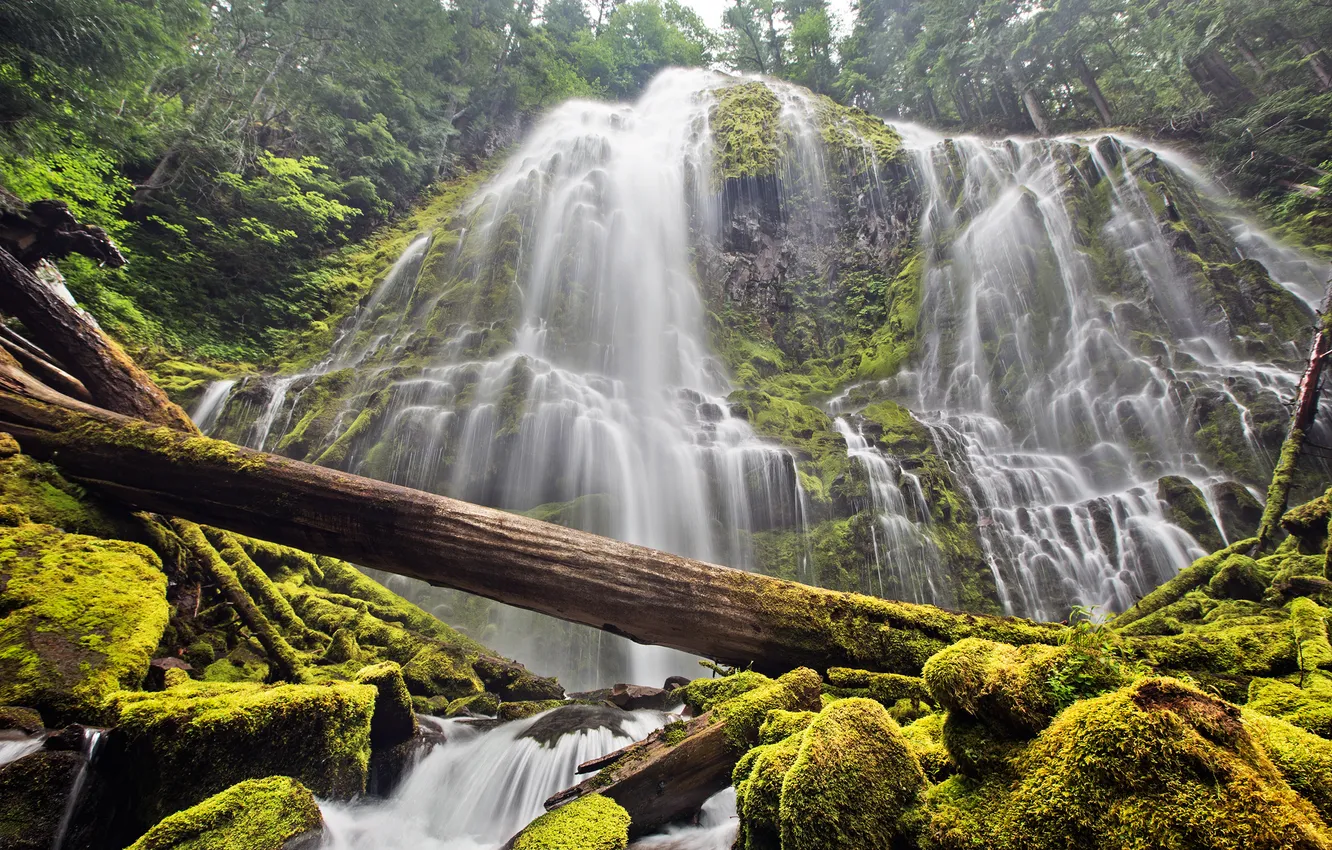 Photo wallpaper forest, nature, stones, waterfall, moss