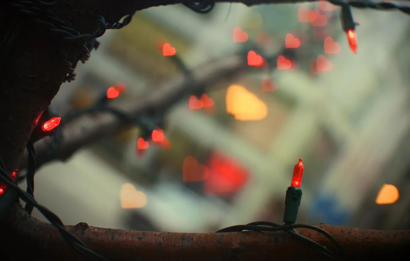 Photo wallpaper winter, macro, trees, branches, lights, holiday, lights, hearts