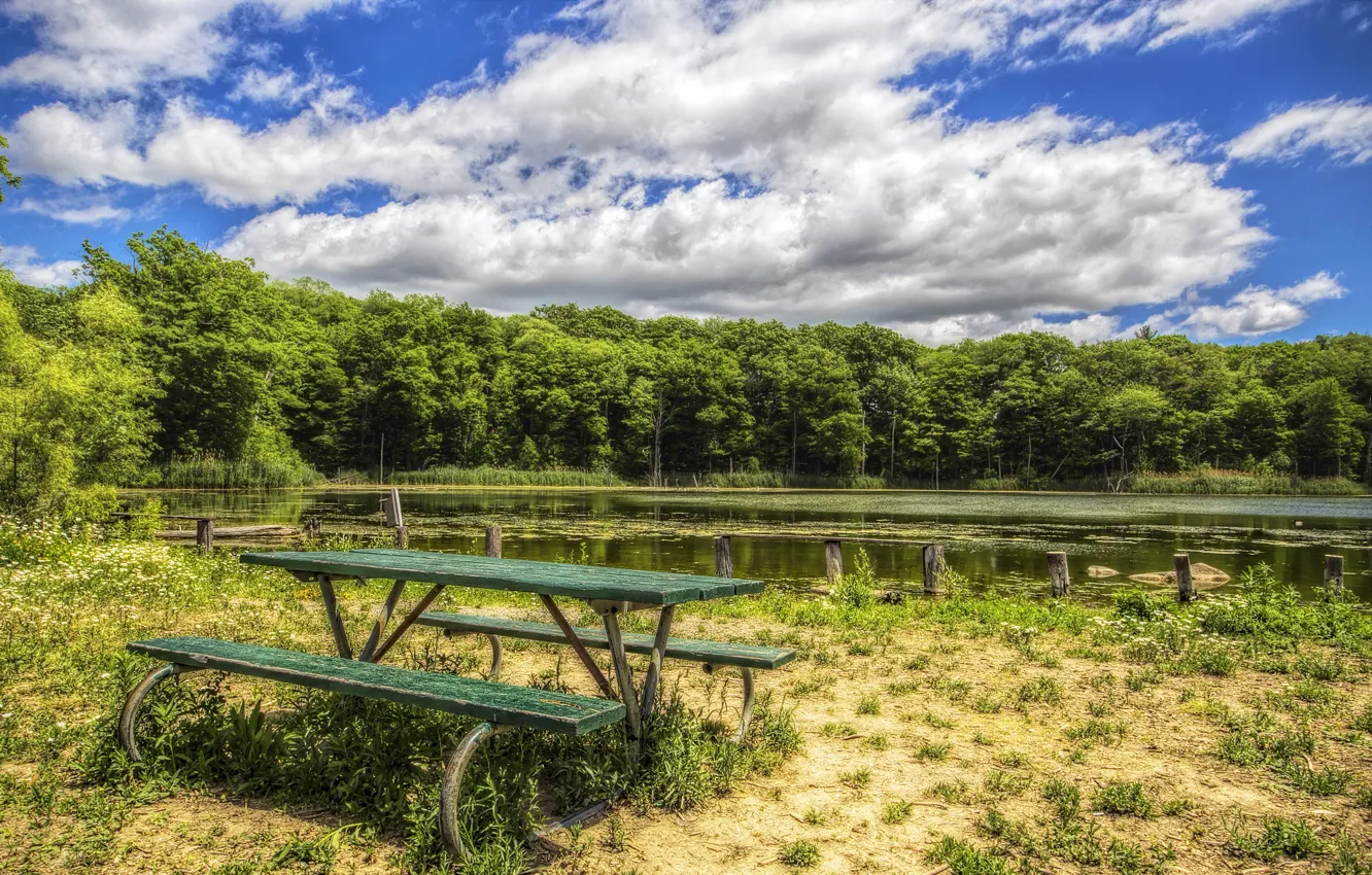Photo wallpaper forest, bench, lake, HDR, summer, sky, coast, forests