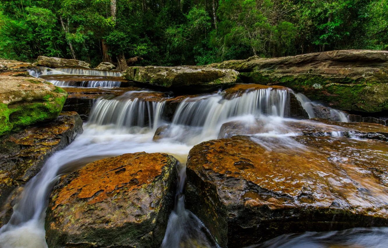 Photo wallpaper forest, landscape, river, rocks, waterfall, summer, forest, tropical