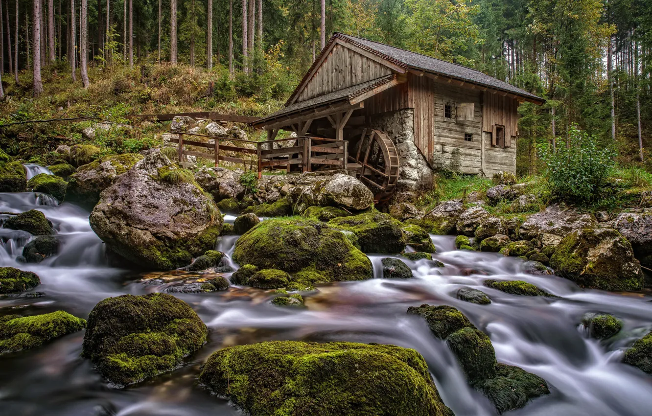 Wallpaper forest, river, mill images for desktop, section природа