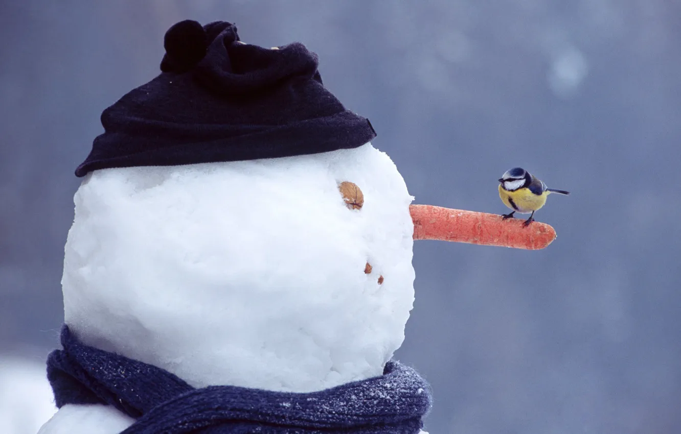 Photo wallpaper winter, eyes, snow, hat, mouth, scarf, nose, snowman