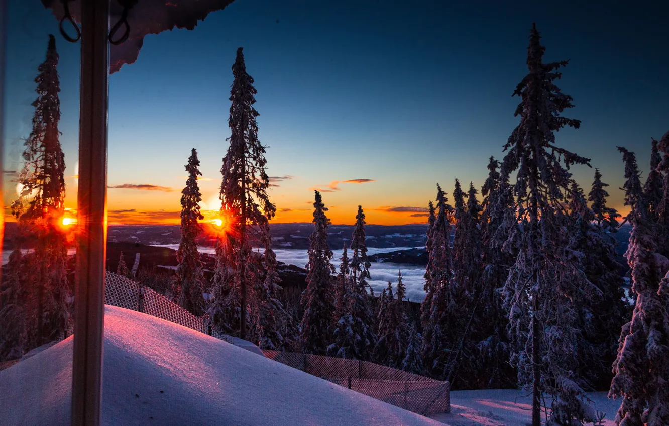Photo wallpaper winter, forest, snow, trees, mountains, morning