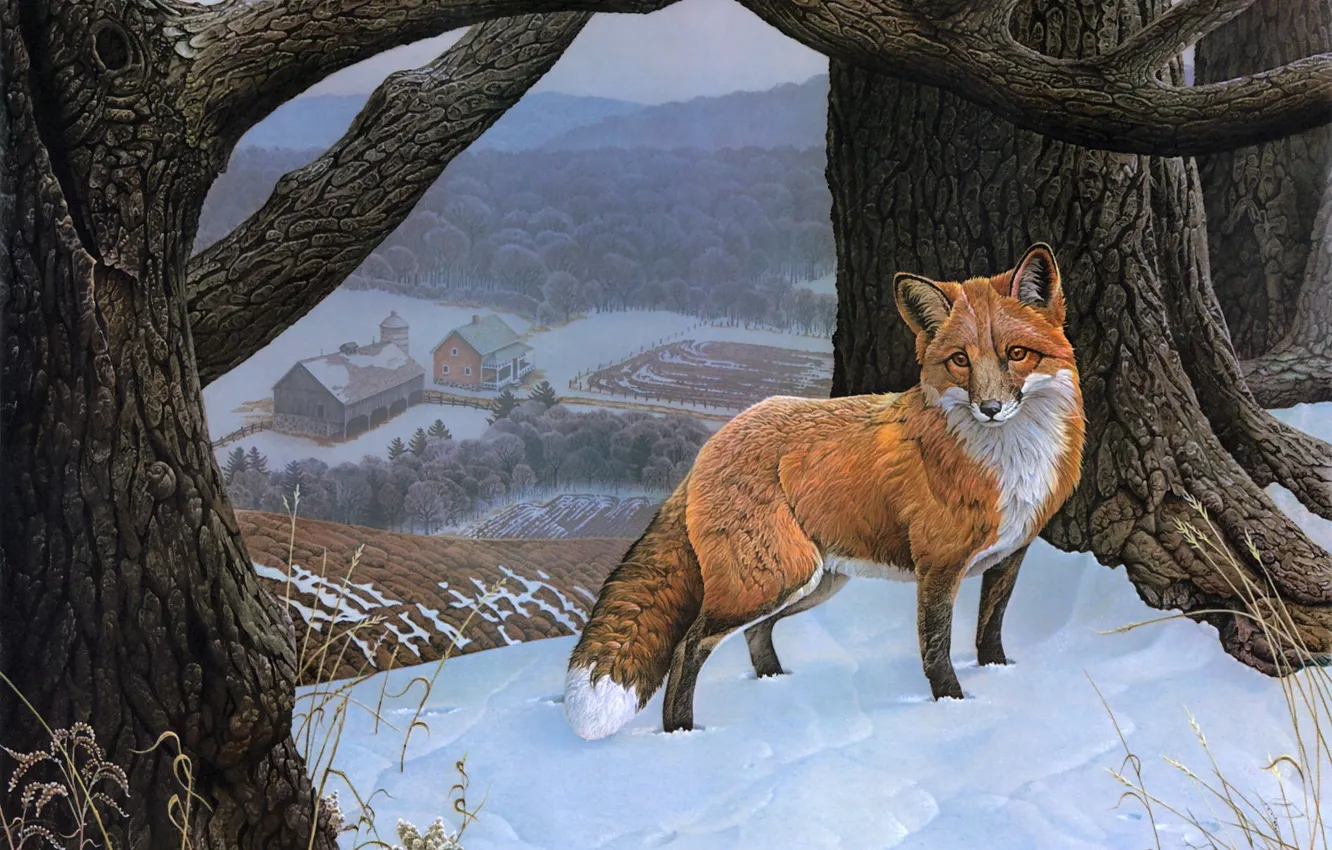 Photo wallpaper winter, field, forest, snow, home, Fox, red, painting