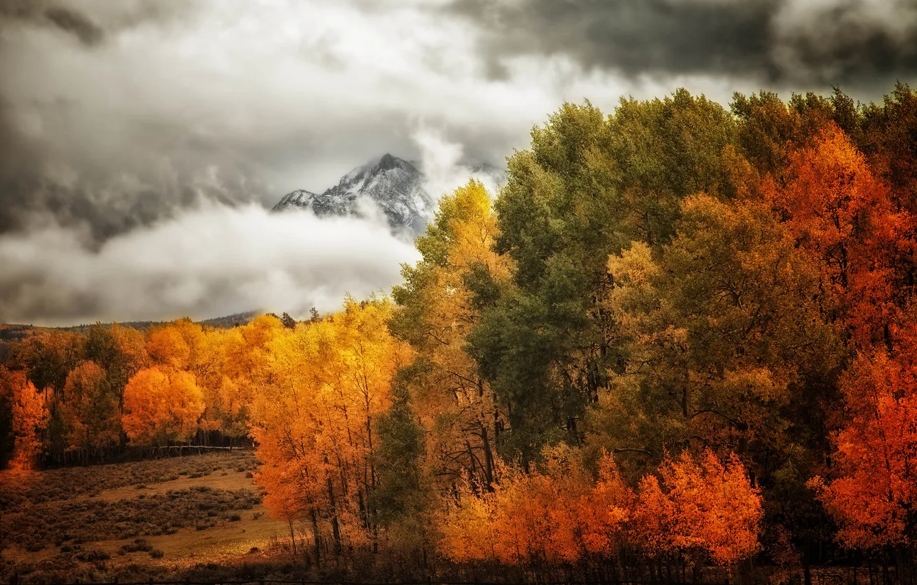 Photo wallpaper autumn, forest, the sky, trees, mountains, clouds
