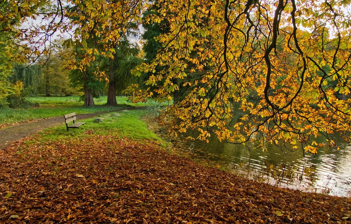Photo wallpaper autumn, Park, bench