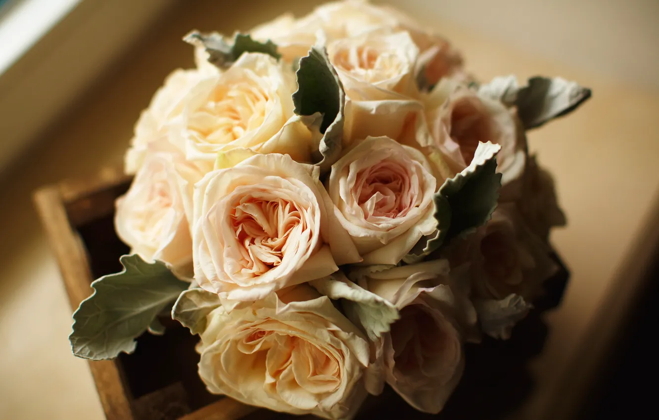 Photo wallpaper roses, roses, bouquets